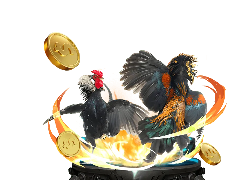 Tổng quan về môi trường chơi game an toàn và công bằng của Debet Casino