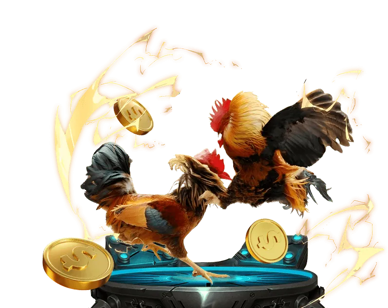 Tổng quan thương hiệu DEBET